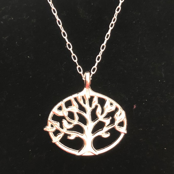Jewelry - Pendant Necklace Chain & Charm